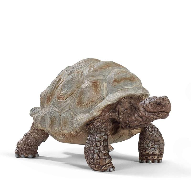 FIGURA TORTUGA GIGANTE