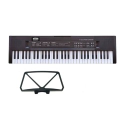 ORGANO 61 TECLAS CON MIC TOMA