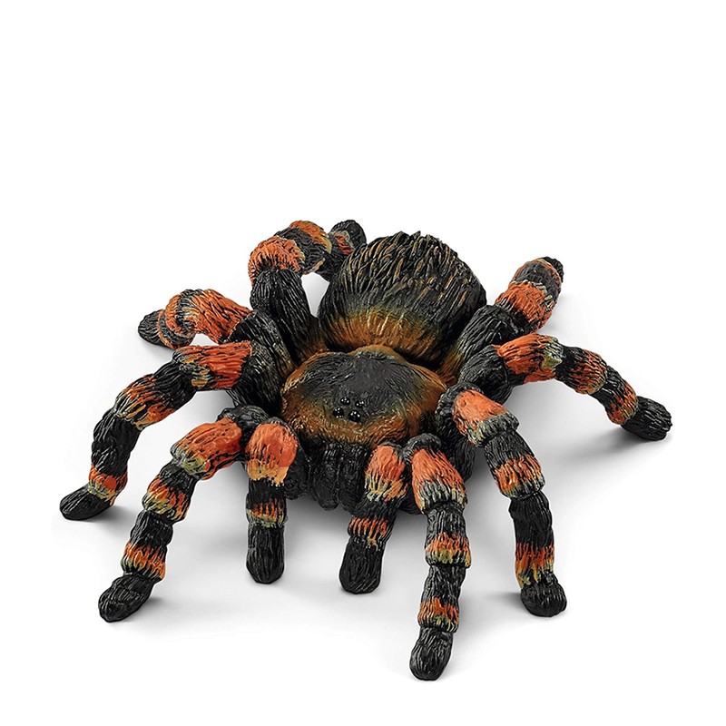 FIGURA TARANTULA