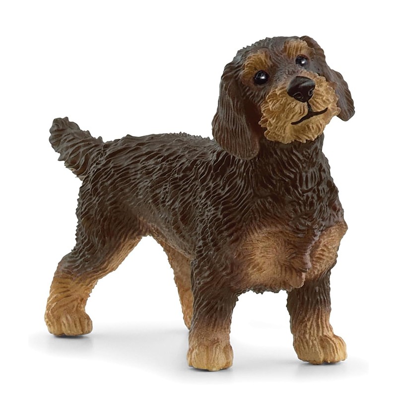 FIGURA TECKEL DE PELO DURO