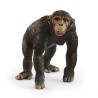 FIGURA CHIMPANCE