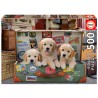 PUZZLE 500P CACHORROS EN EL EQ