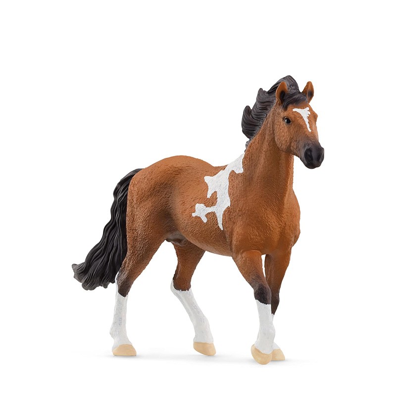 FIGURA SEMENTAL MANGALARGA MAR