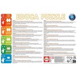 PUZZLE 2x48P DISNEY PRINCESS