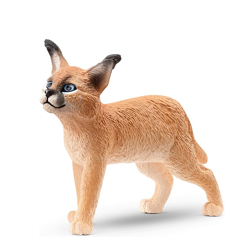 FIGURA CRIA DE CARACAL