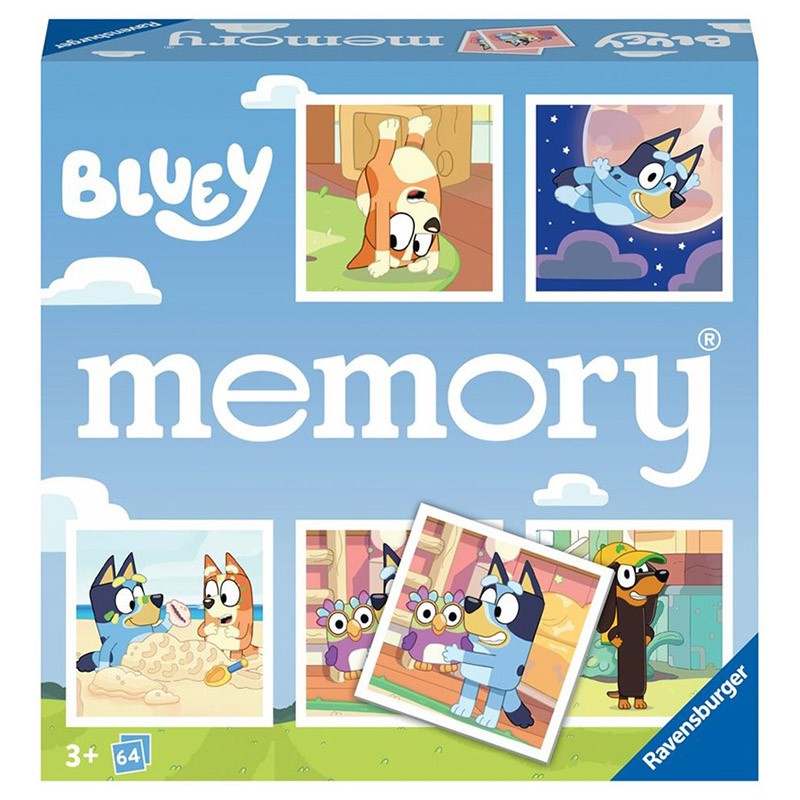 MEMORY BLUEY