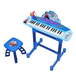 FROZEN ORGANO CON PIE Y BANQUE