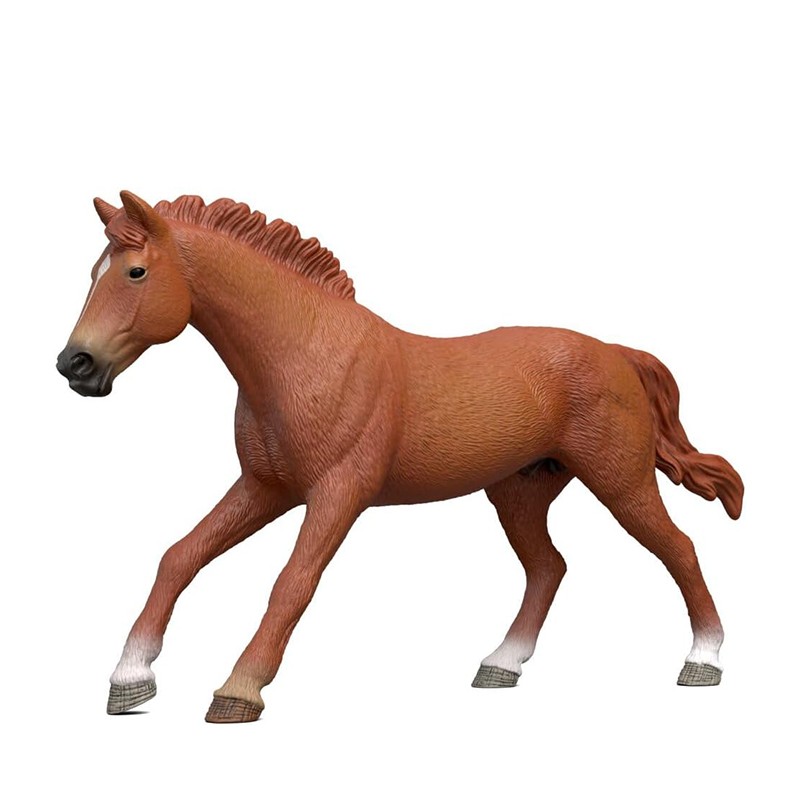 FIGURA SEMENTAL PURA SANGRE IN