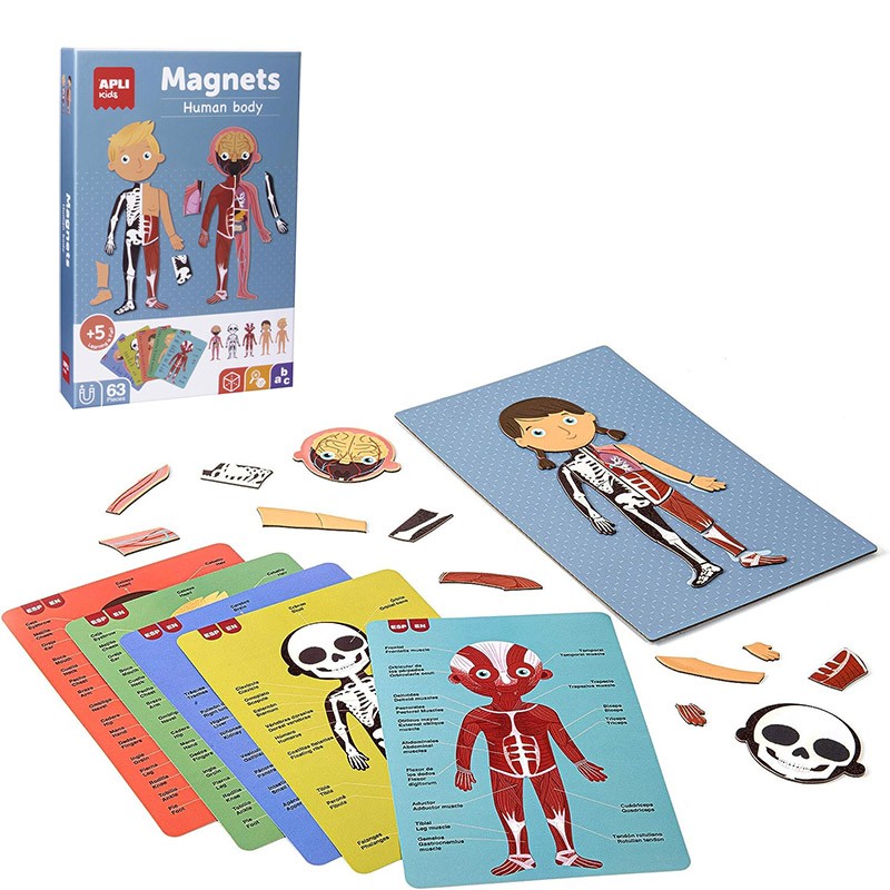 MAGNETICO EL CUERPO HUMANO