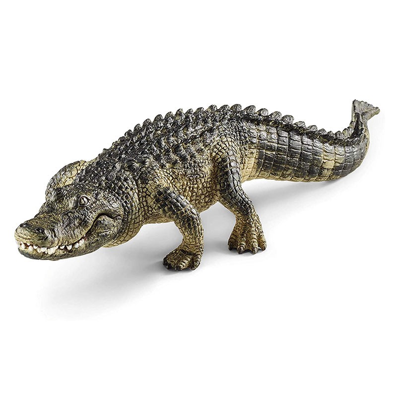 FIGURA CAIMAN