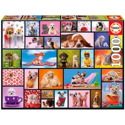 PUZZLE 1000P MOMENTOS COMPARTI