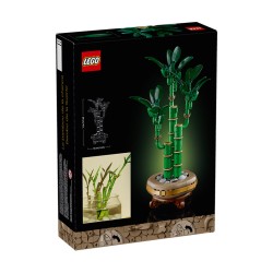 BOTANICALS BAMBU DE LA SUERTE