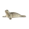 FIGURA FOCA