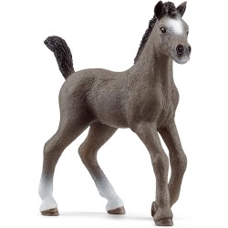 FIGURA POTRO CHEVAL DE SELLE F