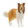 FIGURA COLLIE