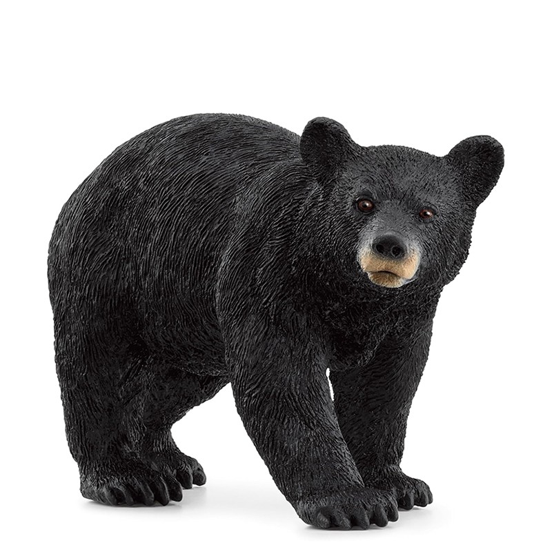 FIGURA OSO NEGRO