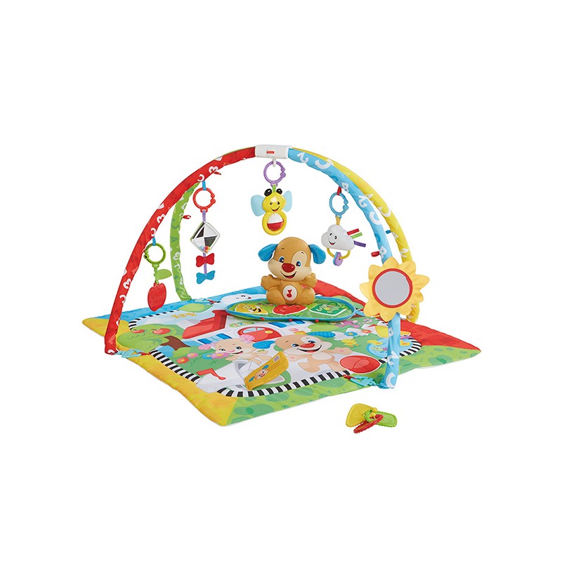 FP GIMNASIO APRENDIZAJE DE PER