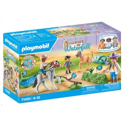 HORSES OF WATERFALL TORNEO DE PONIS