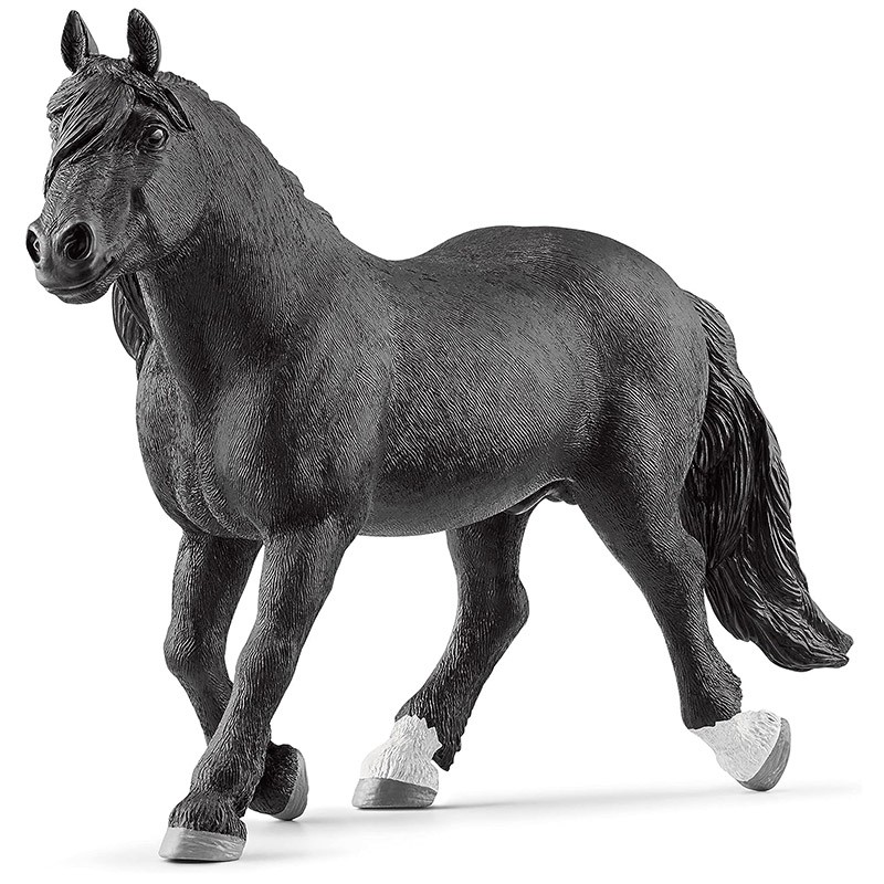 FIGURA SEMENTAL NORIKER