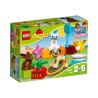 DUPLO MASCOTAS FAMILIARES