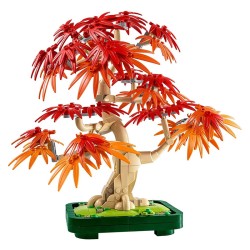 BOTANICALS BONSAI DE ARCE ROJO
