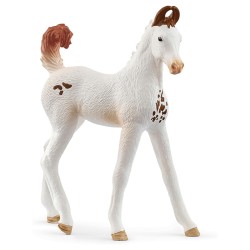 FIGURA POTRO MARWARI