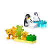 DUPLO FAMILIAS DE LA FAUNA SAL