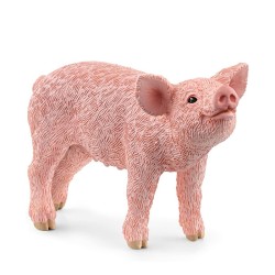 FIGURA CERDITO