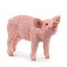 FIGURA CERDITO