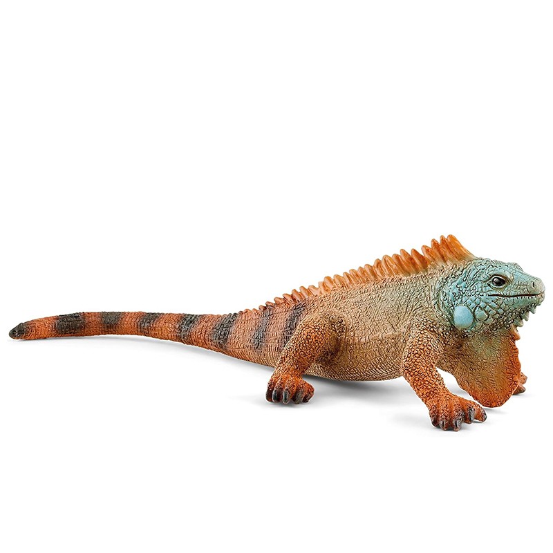 FIGURA IGUANA