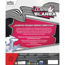 POKEMON Q3 BLINDER COLLEC R