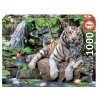 PUZZLE 1000P TIGRES BLANCOS DE