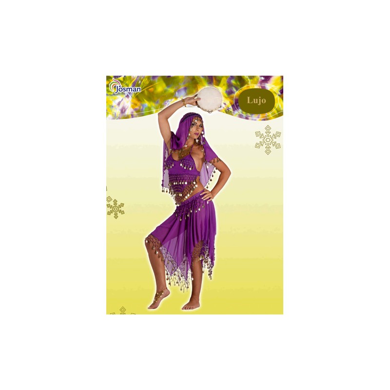 DISFRAZ BAILARINA ORIENTAL T.U