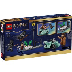HARRY POTTER HAGRID Y HARRY HUIDA DE PRIVET DRIVE
