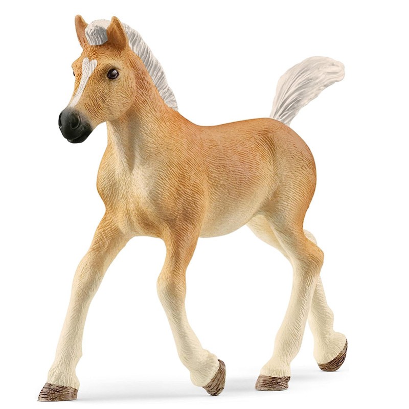 FIGURA POTRO HAFLINGER