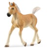 FIGURA POTRO HAFLINGER