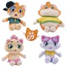 44 GATOS PELUCHE MUSICAL 20 CM