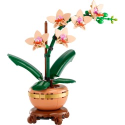 BOTANICALS MINIORQUIDEA