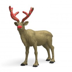 RENO. EDICION ANIVERSARIO DE O