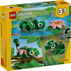 CREATOR TORTUGA CON FLOR DE NENUFAR