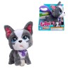 FURREAL WALK A LOTS FRENCH BULLDOG