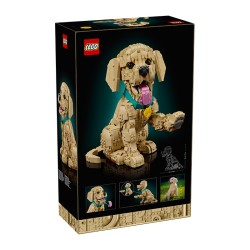 ICONS CACHORRO DE GOLDEN RETRIEVER