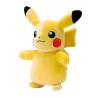POKEMON PELUCHE TERCIOPELO DX