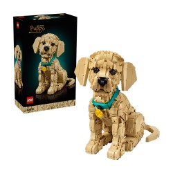 ICONS CACHORRO DE GOLDEN RETRIEVER