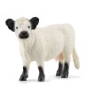 FIGURA VACA GALLOWAY