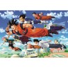 PZL 1000 CB DRAGONBALL