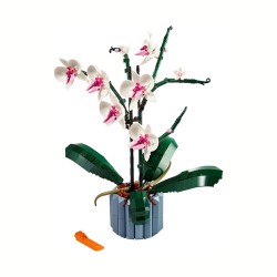 BOTANICALS ORQUIDEAS