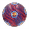 SOFT BALL FC BARCELONA