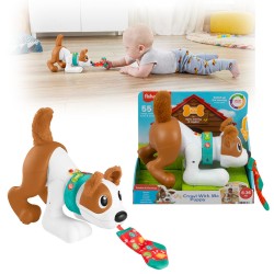 FP PERRITO GATEA Y JUEGA CONMI