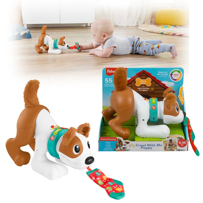 FP PERRITO GATEA Y JUEGA CONMI